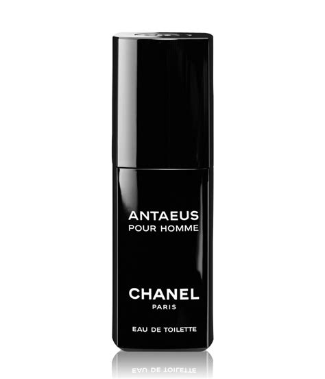 antaeus chanel moins cher|chanel antaeus fragrantica.